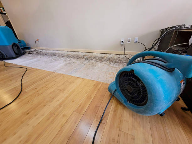 Professional Water Damage Repair technician working in Grand Ledge, MI